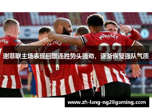 谢菲联主场表现回暖连胜势头强劲，逐渐恢复强队气质