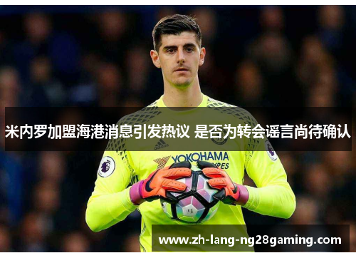 米内罗加盟海港消息引发热议 是否为转会谣言尚待确认