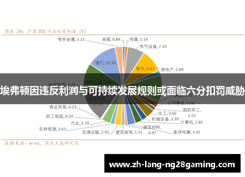 埃弗顿因违反利润与可持续发展规则或面临六分扣罚威胁 埃弗顿因违反利润与可持续发展规则或面临六分扣罚威胁